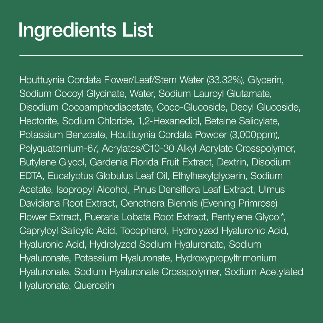 ANUA Heartleaf Quercetinol Pore Deep Cleansing Foam - ANUA