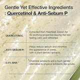 ANUA Heartleaf Quercetinol Pore Deep Cleansing Foam - ANUA