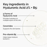 Hyaluronic Acid 2% + B5 (with Ceramides) - The Ordinary